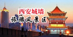 后入骚屄中国陕西-西安城墙旅游风景区